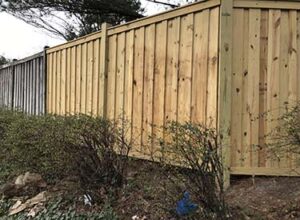 Wood fence just pressure washed in Alexandria VA