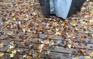 Removing Leaves From Your Deck Pressure Washing