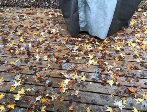 Remove Leaves from Wood Deck