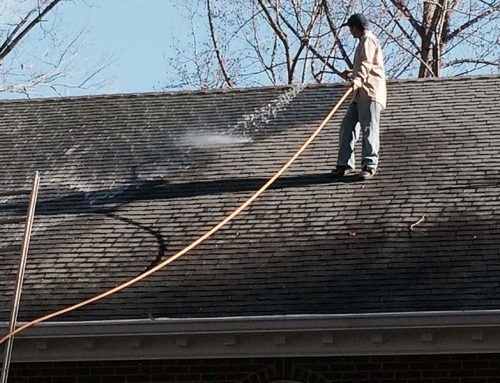 Roof Shingles Cleaning